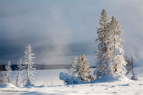 Winter Sunrise at Yellowstone Lake | Cindy Goeddel Photography, LLC