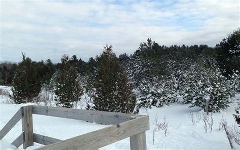 North Central Michigan College Natural Area - Winter - Petoskey Area