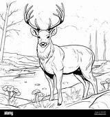 Printable Hunting Coloring Pages sketch template
