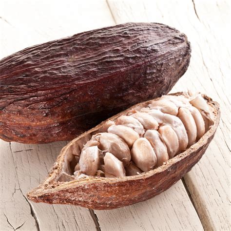 Raw Organic Cacao Nibs | NutHut