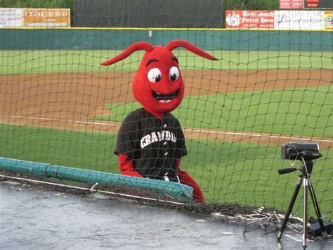 Conrad the Crawdad, Hickory Crawdads mascot; South Atlantic League | Mascot, Minor league ...