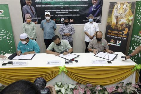 Malayan Tiger Conservation Program – MPOGCF