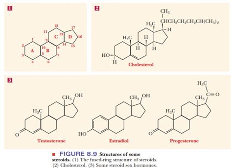 The Chemical Natures of the Lipid Types