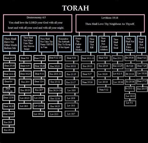 What Are The 5 Groups Of Laws In The Torah | Religions Facts