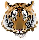 Tiger Head PNG Clip Art - Best WEB Clipart