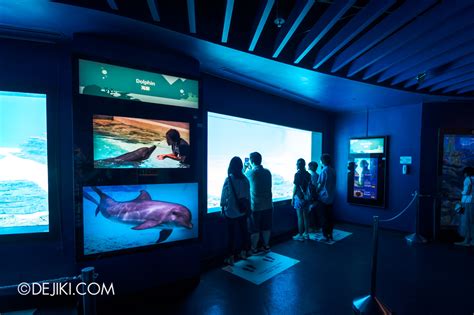 Rediscovering S.E.A. Aquarium in 2021 | Dejiki.com