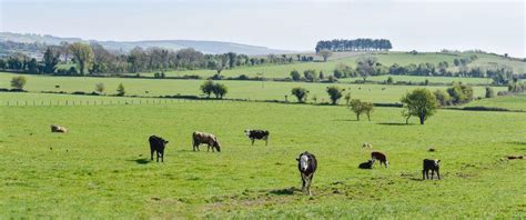 Challenges of Farming - Fresh Pastures