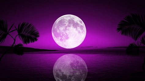 Mysterious Wallpaper purple moon Photos, Footage, and Updates