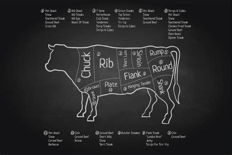 Scheme of meat cutting ~ Illustrations ~ Creative Market