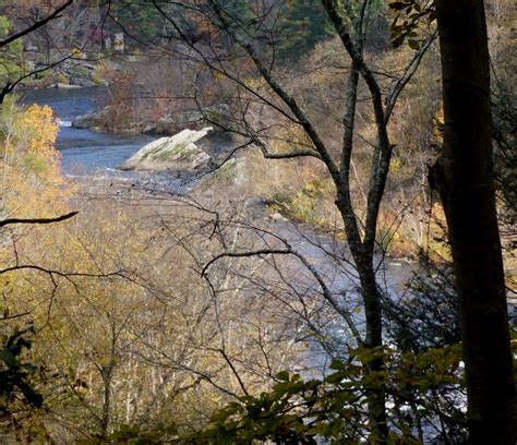 A Citizen Science Experience in the Obed Wild & Scenic River ...