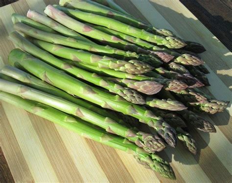 CERTIFIED ORGANIC seed, 1 packet (25 seeds) Asparagus officinalis Viking is said to be the best ...