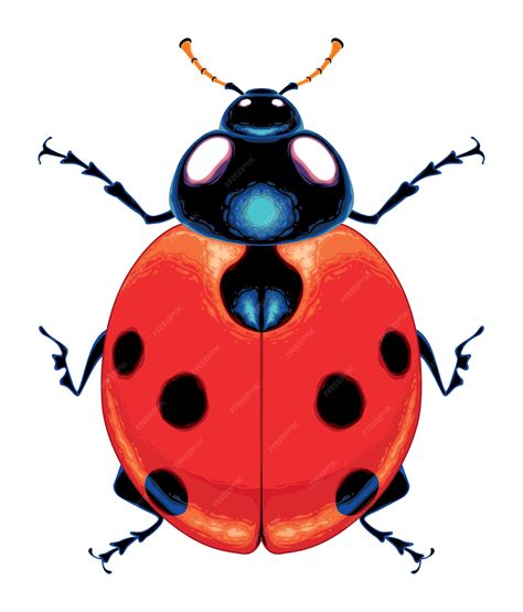 Premium Vector | Ladybug top view vector isolated animal