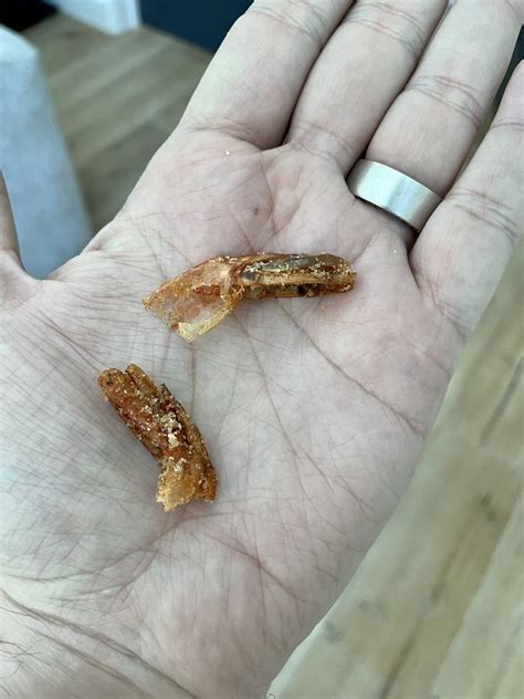 This Guy Found Shrimp Tails In His Cinnamon Toast Crunch Cereal and The ...