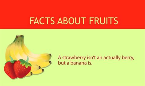 Facts About Fruits #infographic - Visualistan