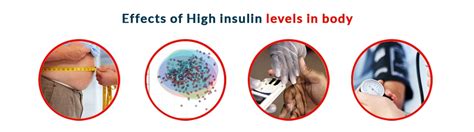 Hyperinsulinemia: Causes, Symptoms, Disease, Treatment and Effect on ...