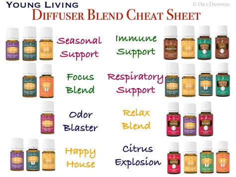 Young Living Diffuser Blend Cheat Sheet (8 Popular Combinations) - Rebooted Mom