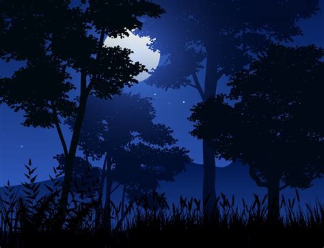 Premium Vector | Night scene in forest