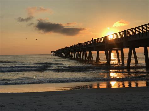 Jacksonville Beach Pier http://www.learnyourrights.com/ | Jacksonville beach pier, Jacksonville ...