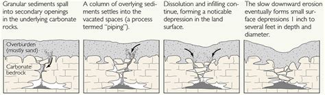 The 3 Major Types of Sinkholes in Florida