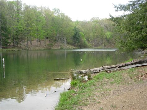 Hocking Hills State Park - Rose Lake | Hocking hills state park, State parks, Park rosé