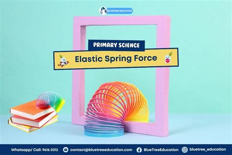 PSLE Science: Elastic Spring Force Graph - Bluetree Education Group