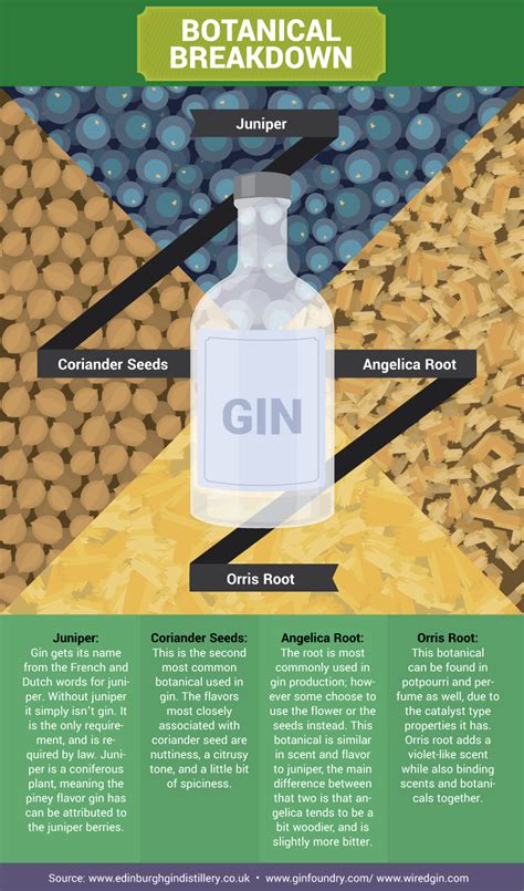 Learn How Gin is Made and Flavored | Fix.com