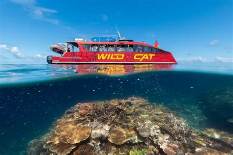 Red Cat Great Barrier Reef Tour From Airlie Beach