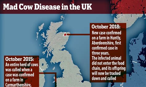 What is mad cow disease caused by: Bovine Spongiform Encephalopathy (BSE) | Prions Diseases