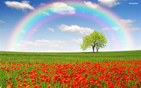 Beautiful Rainbow Wallpaper - WallpaperSafari