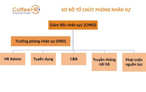 13 Mẫu sơ đồ tổ chức công ty phổ biến mới nhất 2023 [Tải về] - Networks ...