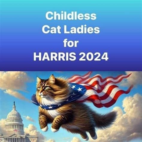 Childless cat lady meme | J.D. Vance’s "Childless Cat Ladies" Comment | Know Your Meme