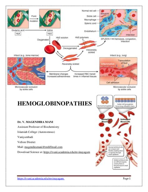 (PDF) Hemoglobinopathy & erythrocyte enzyme disorder | nafeez ahmed - Academia.edu