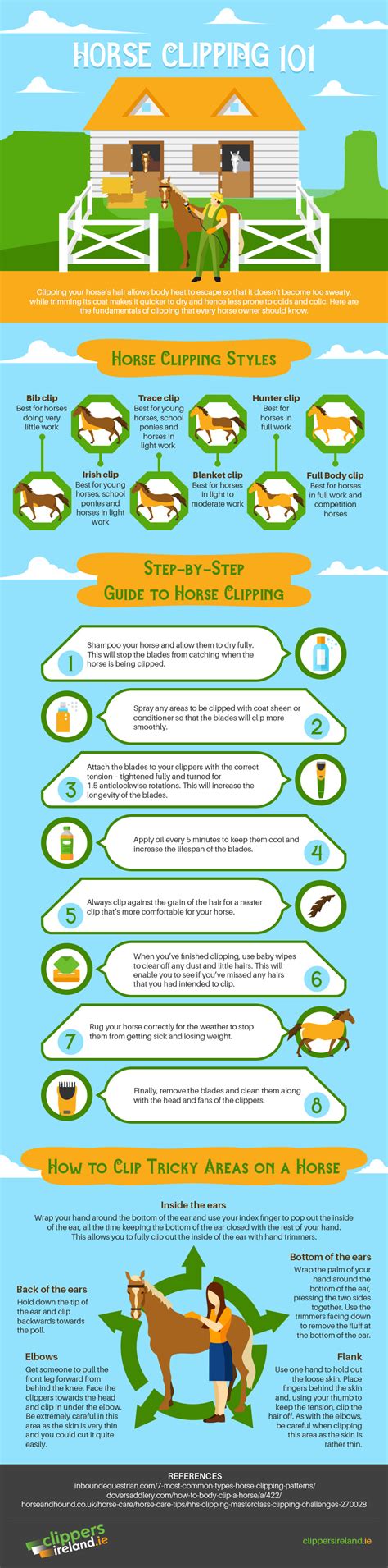 Horse clipping tips and easy to follow infographic