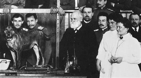 We are all Pavlov’s dogs now – The Duran