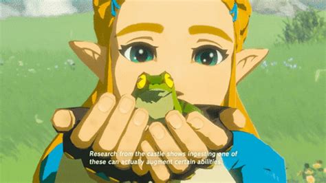 Breath Of The Wild GIFs - Find & Share on GIPHY