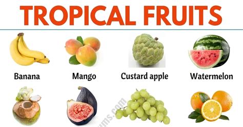 Exotic Fruits: List of 75+ Exotic Fruits From All Around the World ...