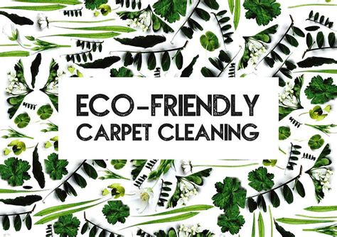 Eco-friendly carpet cleaning in Norfolk | Resolve Carpet Care