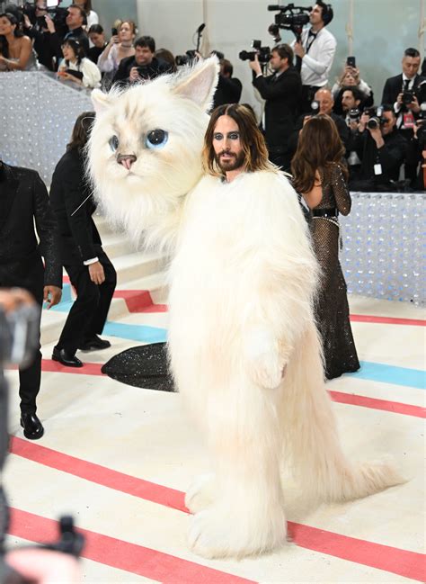 Why Cats Dominated The 2023 Met Gala Carpet - 247 News Around The World