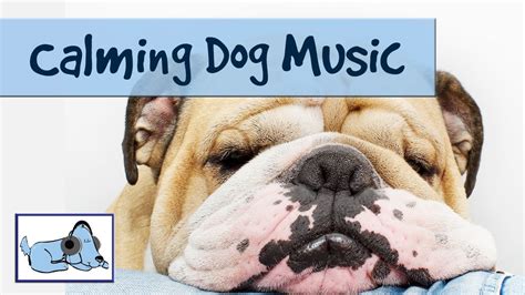 Music for Dogs - Calming Music to Help your Dog Relax - YouTube