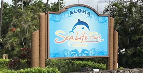 Sea Life Park Hawaii with Kids | Nic&Cam