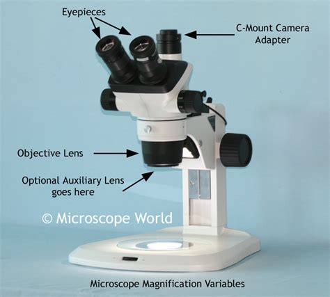 Microscope World Blog: Stereo Microscope Magnification