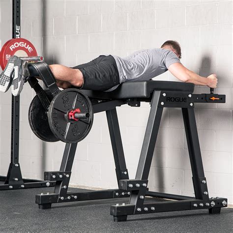 reverse hyperextension machine price - Marin Mattox