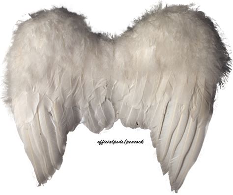 Angel Wings (PSD) | Official PSDs