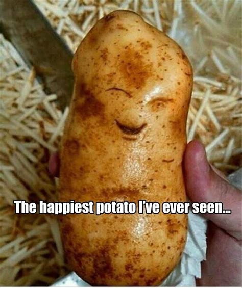 Funny Pictures Of The Day - 45 Pics | Happy potato, Food, Food humor