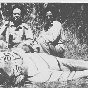 Hunt Bengal Tiger in India | AfricaHunting.com