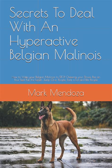 Buy Secrets To Deal With An Hyperactive Belgian Malinois: How to Make your Belgian Malinois to ...