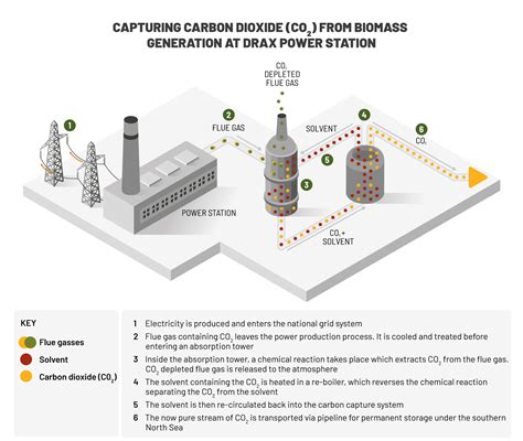 Bioenergy with carbon capture use and storage (BECCS) and negative ...