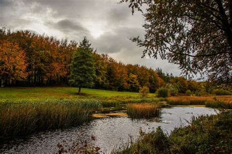 TOP 10 best forest parks in Ireland you NEED TO VISIT