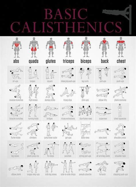 Basic Calisthenics | Calisthenics workout for beginners, Calisthenics ...