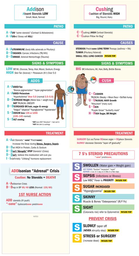 Endocrine handout Addison vs Cushings - NUR 106 - LCCC - Studocu